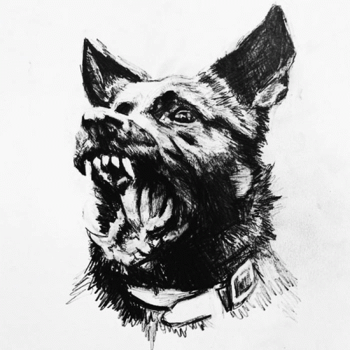 Dogyard : Demos from the Dogyard